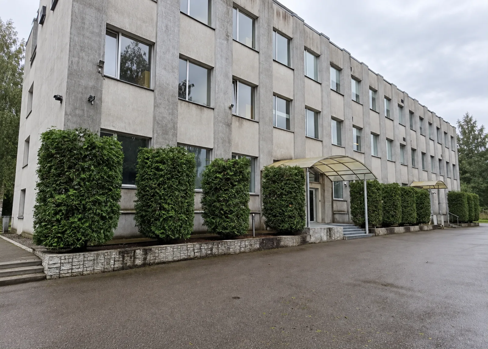 Pēc: pāraugušu tūju augstuma un platuma korekcija pie ēkas