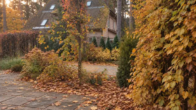 Rudenīgs dārzs ar nokritušām lapām uz bruģa un dzeltenu vīteni gar žogu