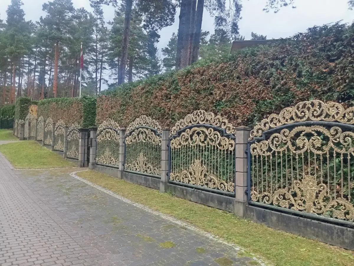Kopts tūju dzīvžogs gar dekoratīvu žogu Sunīšos.