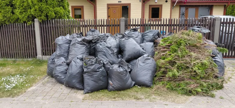 Savāktas lapas, zari un zaļie atkritumi pirms iekraušanas