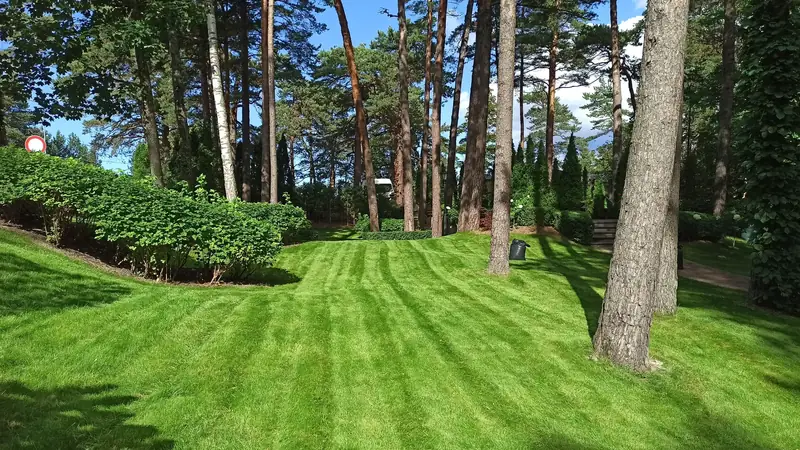Zāliena pļaušana, dārza kopšana. Jūrmala.
