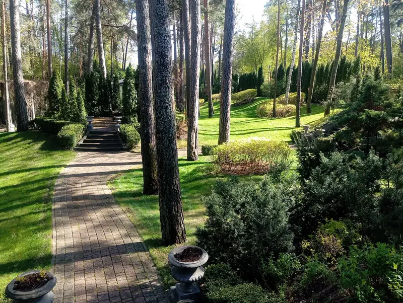 Dārza kopšana, augu apgriešana, stādījumu kompozīciju sakopšana. Jūrmala.