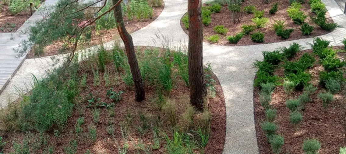 Garden creation and renovation — Green Rise